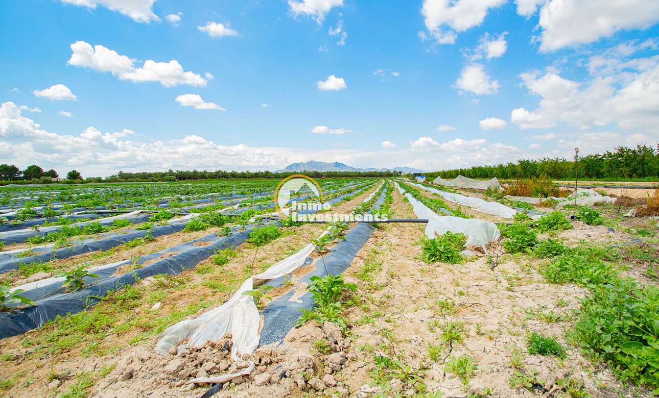 Bestaande bouw - Finca - San Isidro De Albatera - San Isidro