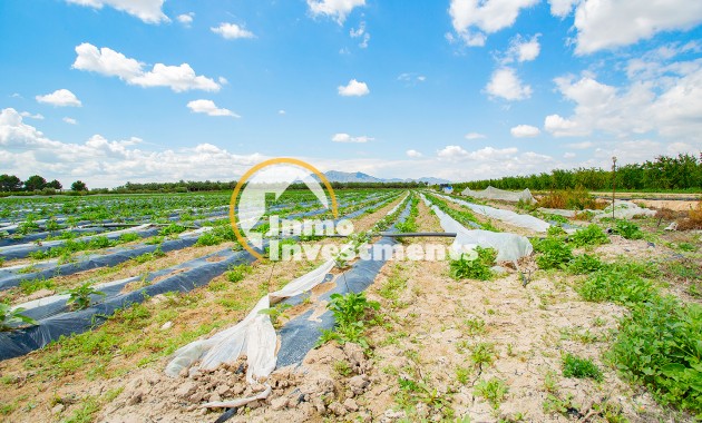 Bestaande bouw - Finca - San Isidro De Albatera - San Isidro