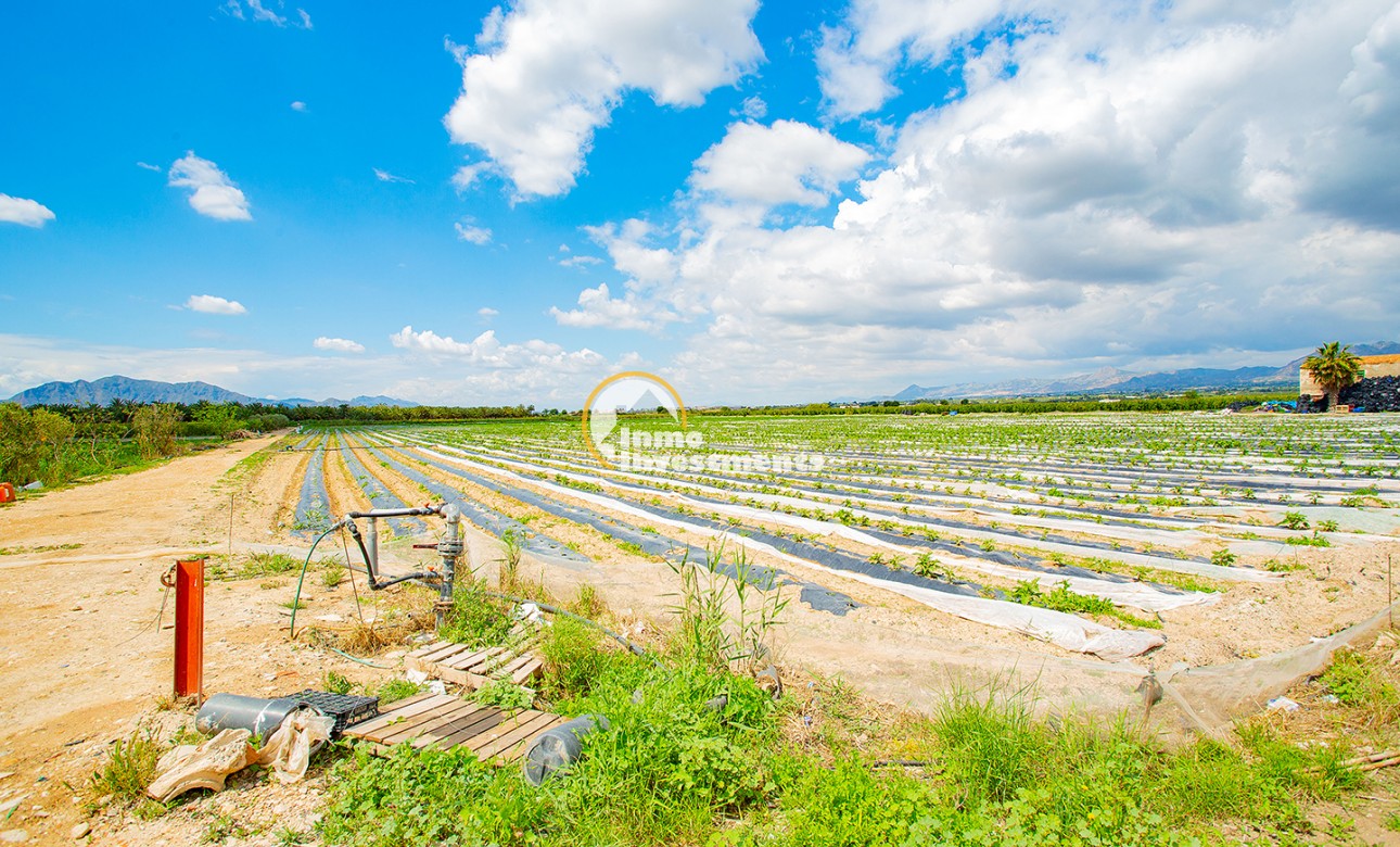 Bestaande bouw - Finca - San Isidro De Albatera - San Isidro
