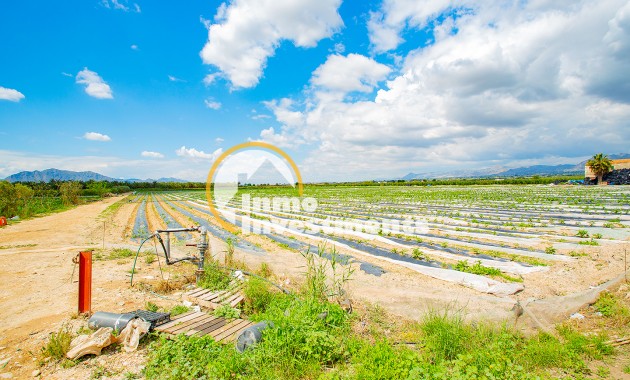 Bestaande bouw - Finca - San Isidro De Albatera - San Isidro