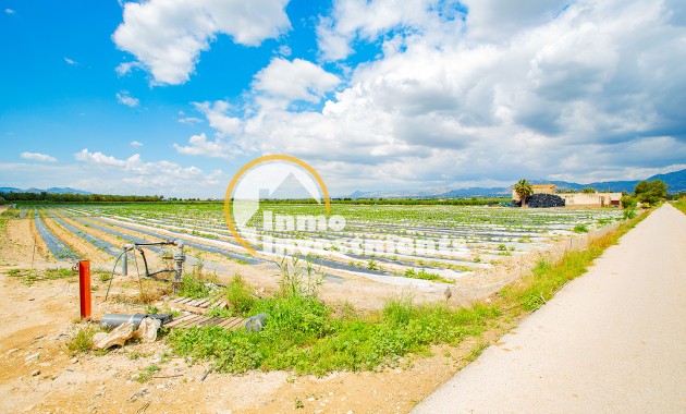 Bestaande bouw - Finca - San Isidro De Albatera - San Isidro