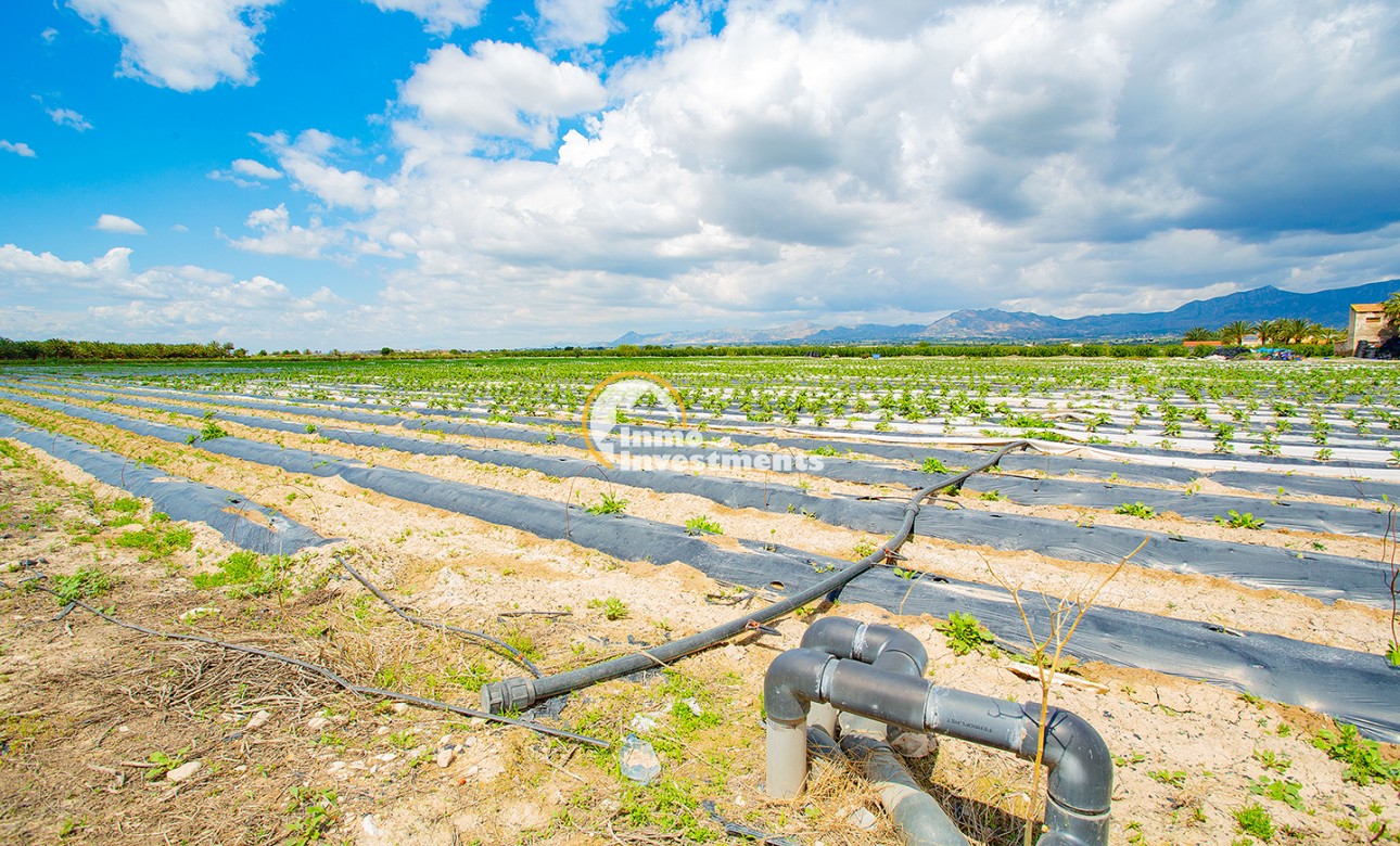 Bestaande bouw - Finca - San Isidro De Albatera - San Isidro