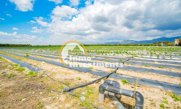 Bestaande bouw - Finca - San Isidro De Albatera - San Isidro