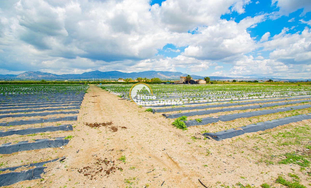 Bestaande bouw - Finca - San Isidro De Albatera - San Isidro