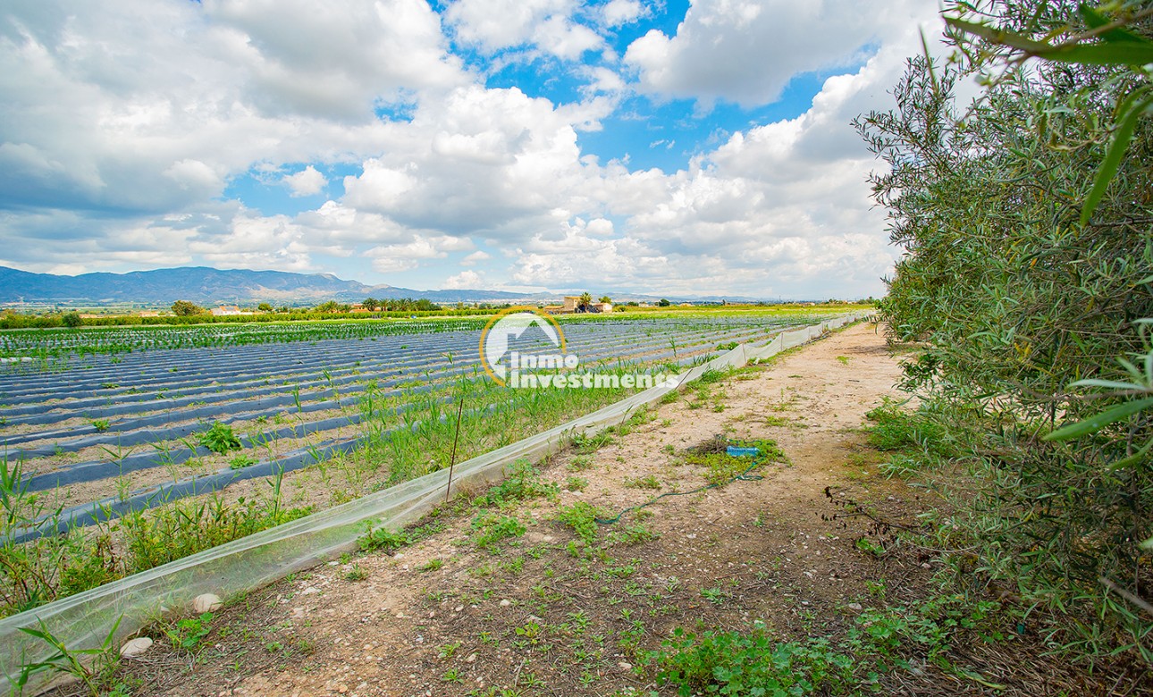 Bestaande bouw - Finca - San Isidro De Albatera - San Isidro