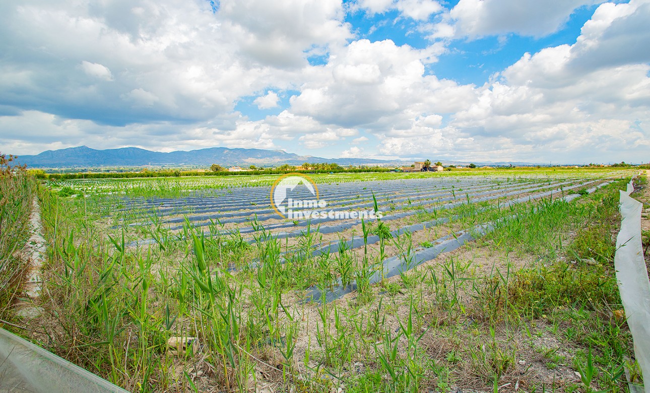 Bestaande bouw - Finca - San Isidro De Albatera - San Isidro