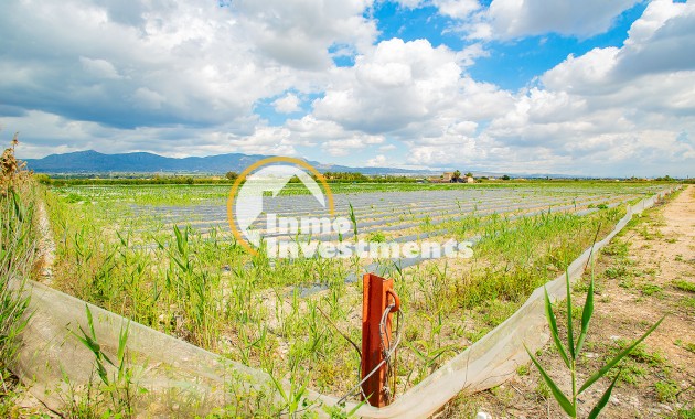 Bestaande bouw - Finca - San Isidro De Albatera - San Isidro