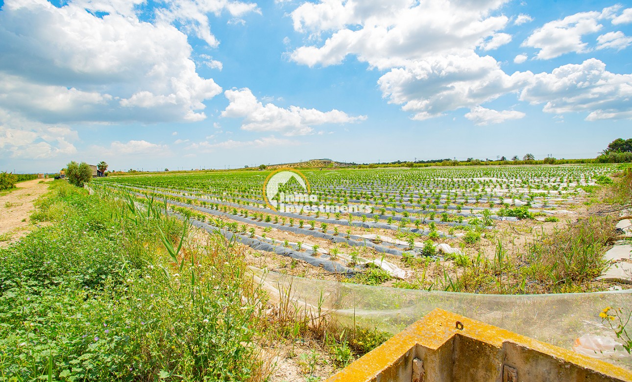 Bestaande bouw - Finca - San Isidro De Albatera - San Isidro