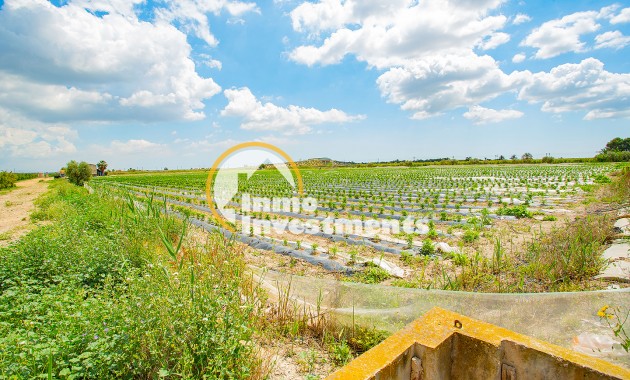 Bestaande bouw - Finca - San Isidro De Albatera - San Isidro