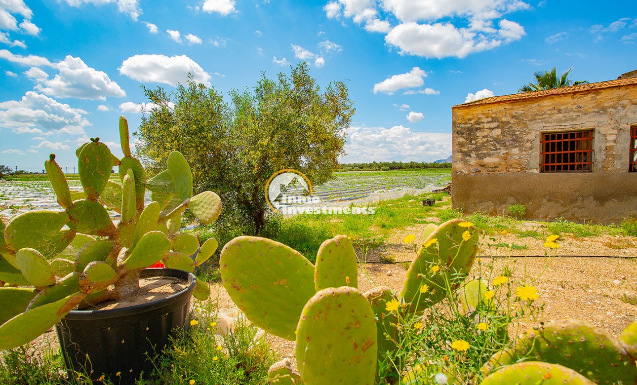 Bestaande bouw - Finca - San Isidro De Albatera - San Isidro