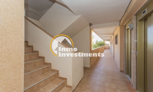 Till salu - Lägenhet - Guardamar del Segura