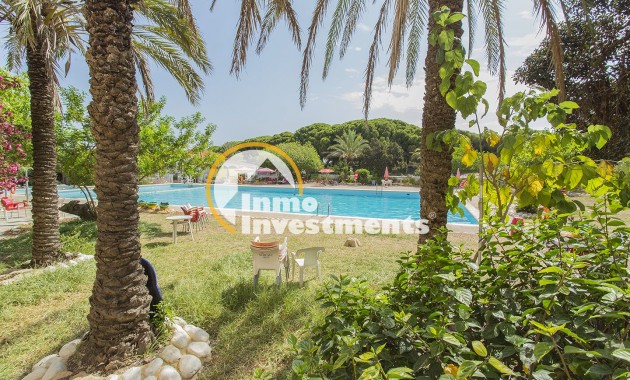 Till salu - Lägenhet - Guardamar del Segura