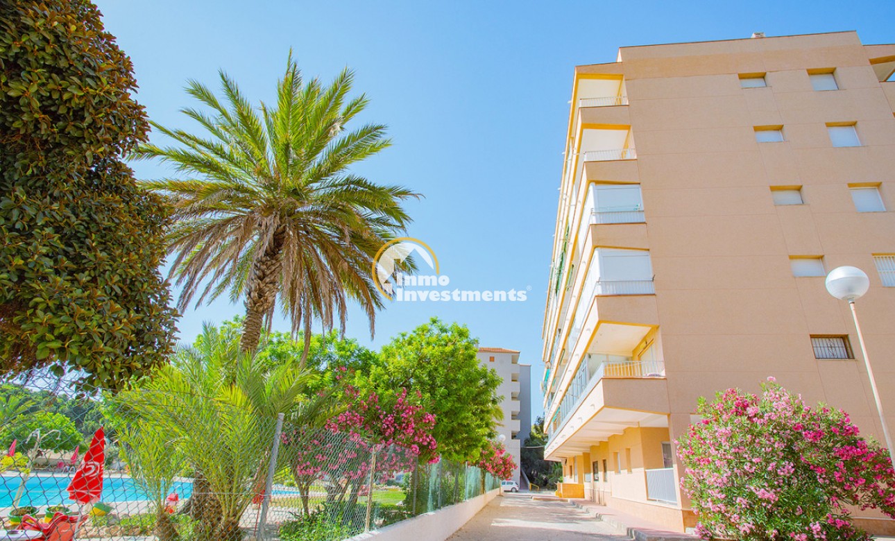 Bestaande bouw - Appartement - Guardamar del Segura