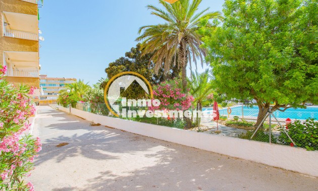 Bestaande bouw - Appartement - Guardamar del Segura