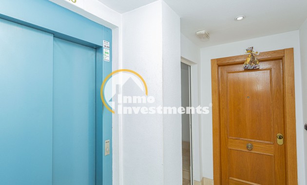 Gebrauchtimmobilien - Apartment - Torrevieja - Center Torrevieja