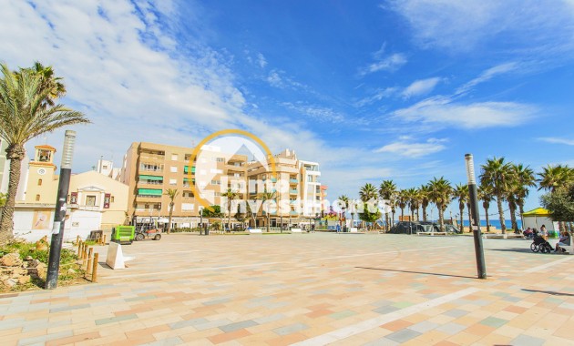 Gebrauchtimmobilien - Apartment - La Mata - La Mata Center