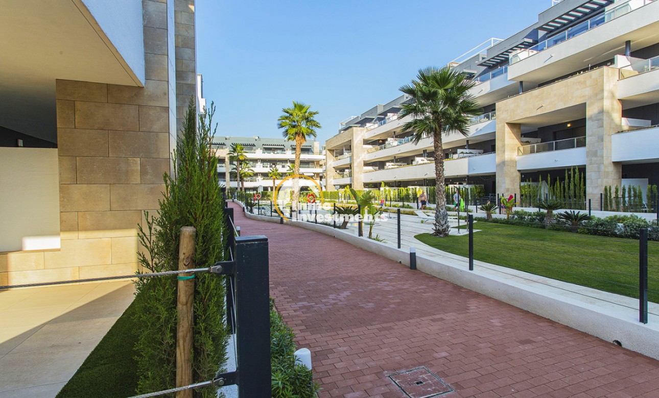 Gebrauchtimmobilien - Apartment - Playa Flamenca