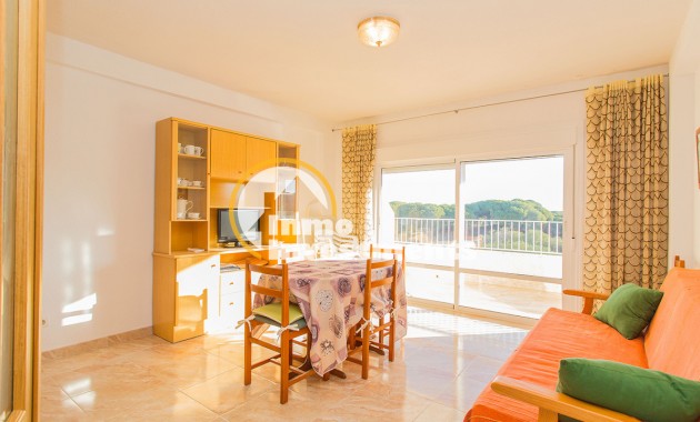 Bestaande bouw - Appartement - Guardamar del Segura