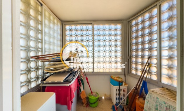 Bestaande bouw - Appartement - La Mata