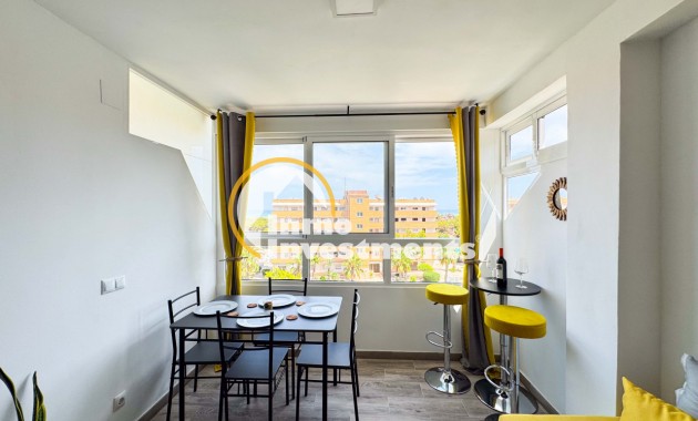 Gebrauchtimmobilien - Apartment - Guardamar del Segura