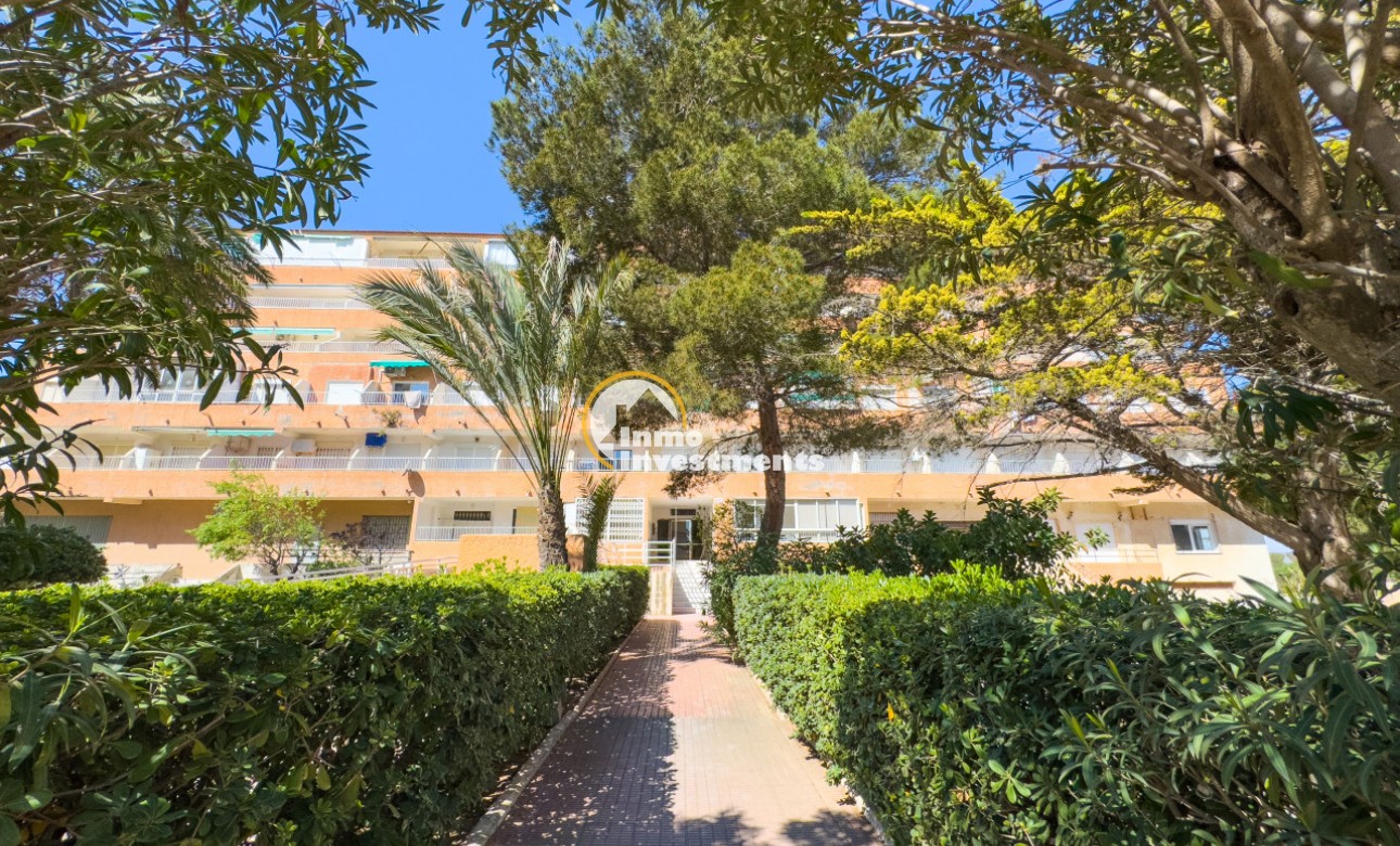 Gebrauchtimmobilien - Apartment - Guardamar del Segura
