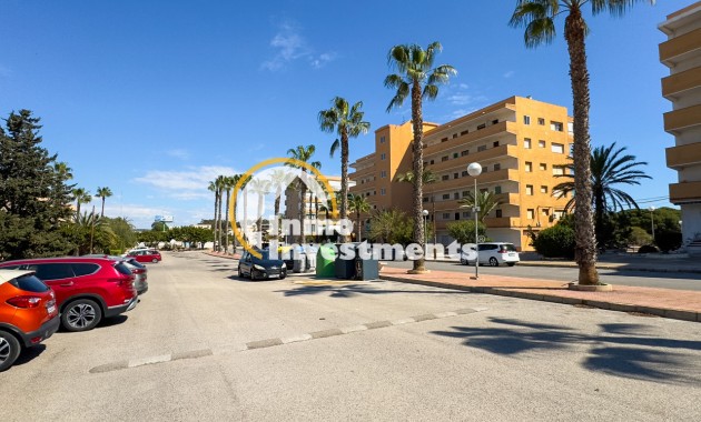 Gebrauchtimmobilien - Apartment - Guardamar del Segura