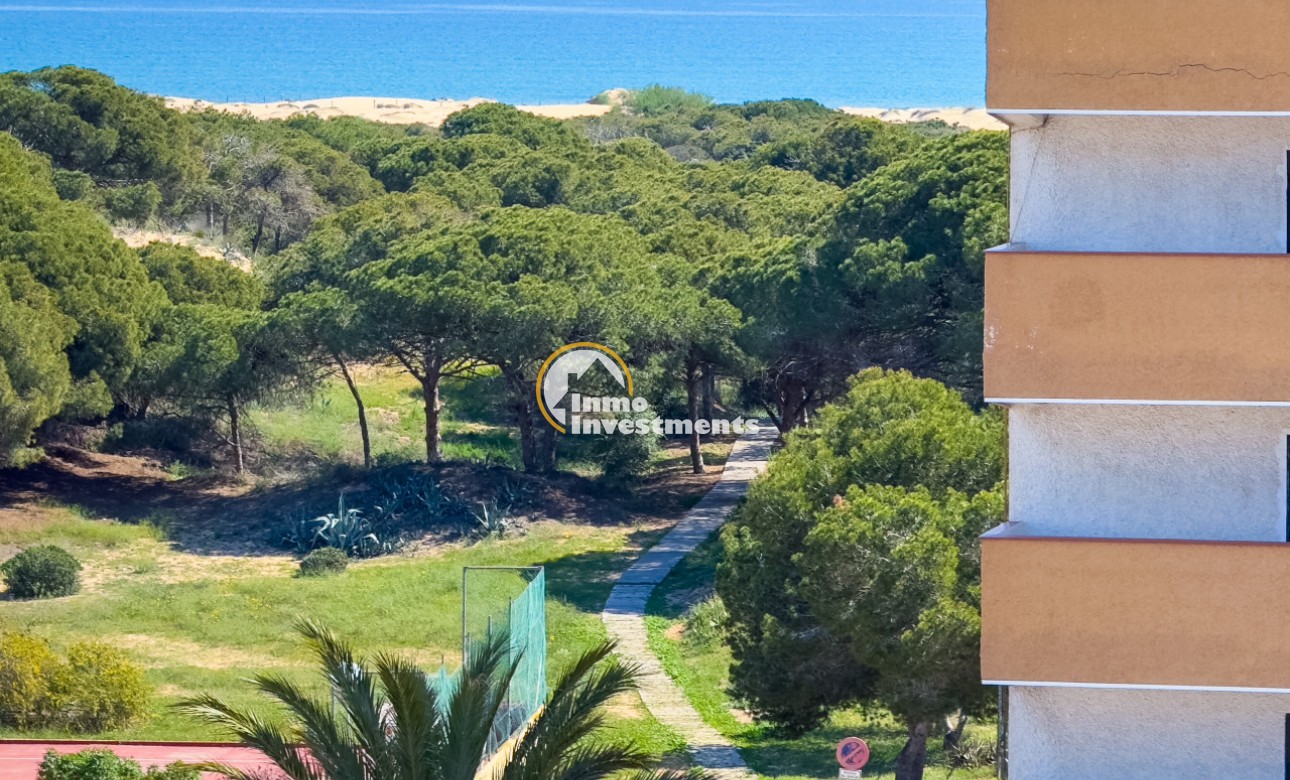 Gebrauchtimmobilien - Apartment - Guardamar del Segura