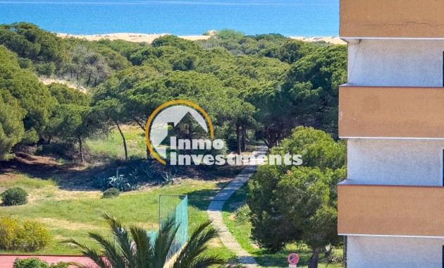 Gebrauchtimmobilien - Apartment - Guardamar del Segura