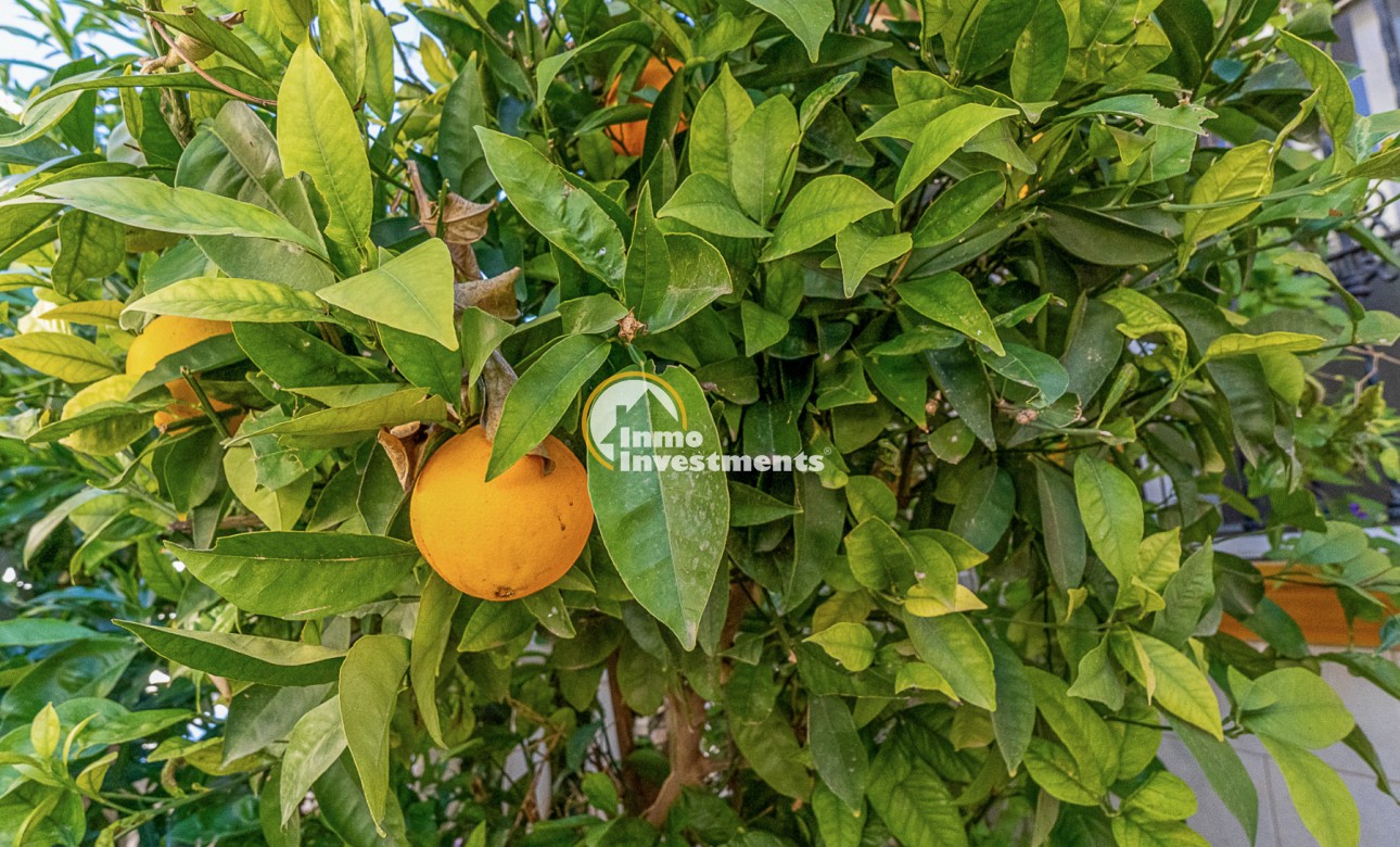 Resale - Bungalow - La Zenia - Villas San Jose