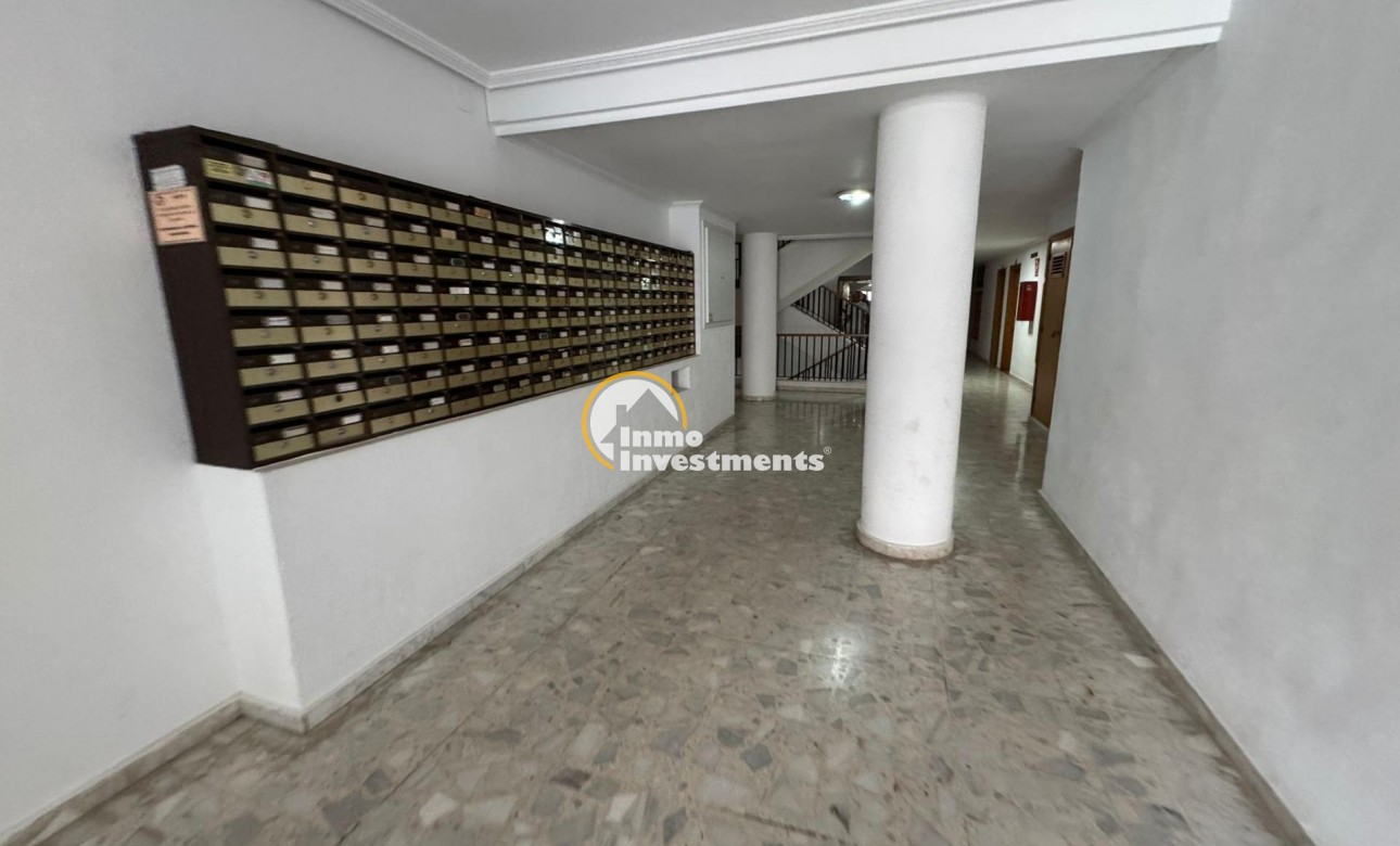 Reventa - Estudio - Torrevieja