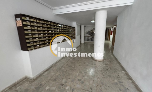 Reventa - Estudio - Torrevieja