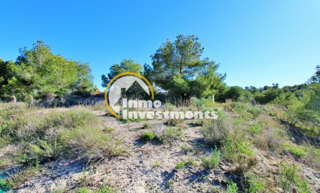 Resale - Land - San Miguel de Salinas - San Miguel