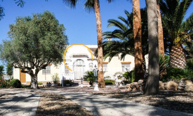 Bestaande bouw - Finca - Daya Vieja - 