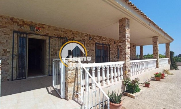 Resale - Finca - San Miguel de Salinas - San Miguel