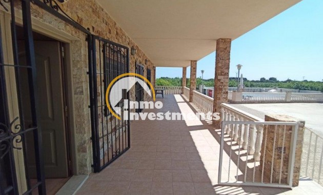 Resale - Finca - San Miguel de Salinas - San Miguel