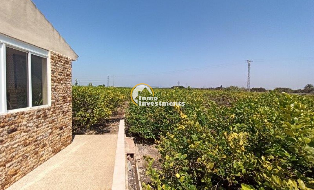 Resale - Finca - San Miguel de Salinas - San Miguel