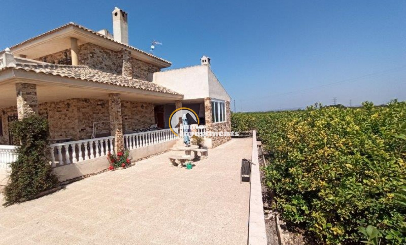 Resale - Finca - San Miguel de Salinas - San Miguel