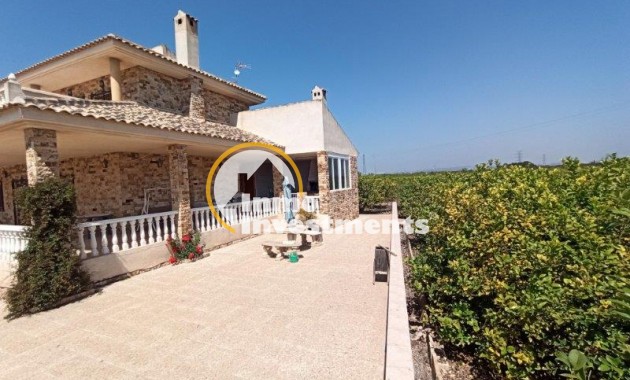 Resale - Finca - San Miguel de Salinas - San Miguel