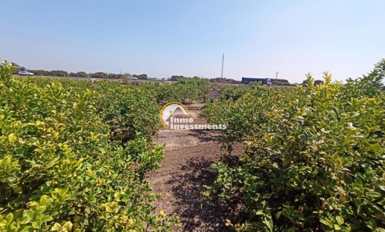 Resale - Finca - San Miguel de Salinas - San Miguel