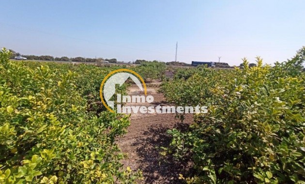 Resale - Finca - San Miguel de Salinas - San Miguel