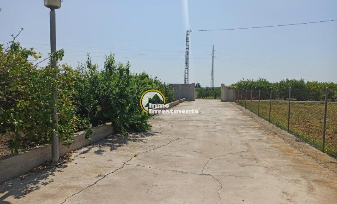 Resale - Finca - San Miguel de Salinas - San Miguel