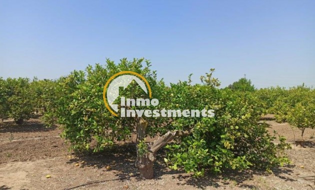 Resale - Finca - San Miguel de Salinas - San Miguel