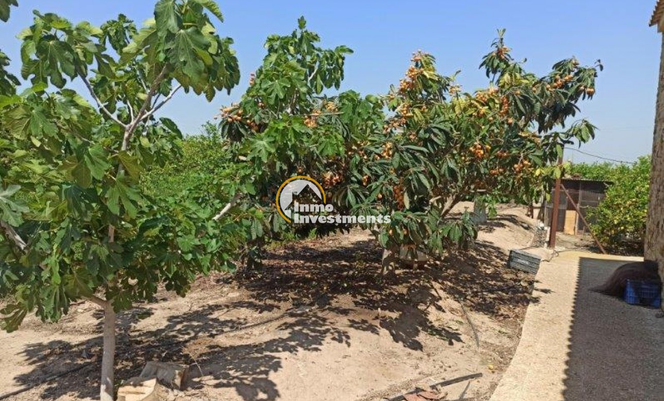 Resale - Finca - San Miguel de Salinas - San Miguel