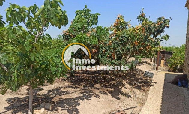 Resale - Finca - San Miguel de Salinas - San Miguel