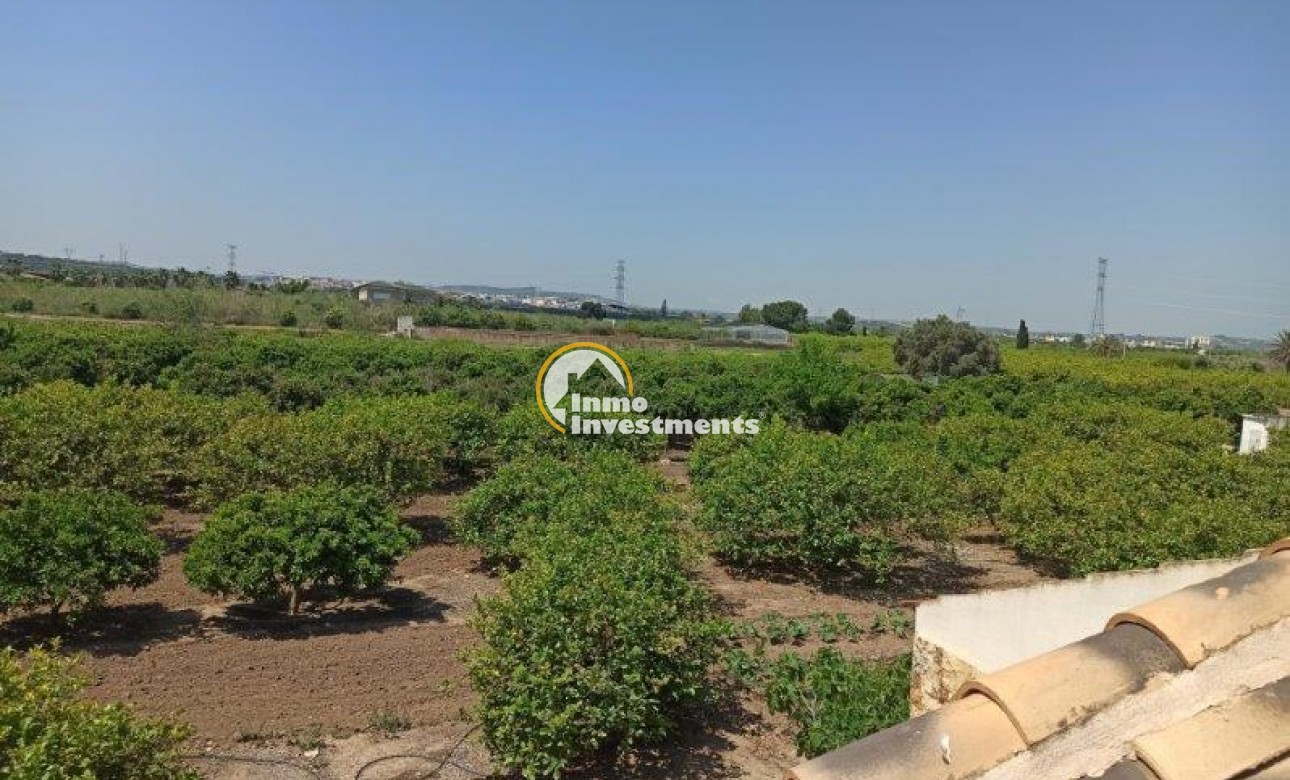 Resale - Finca - San Miguel de Salinas - San Miguel