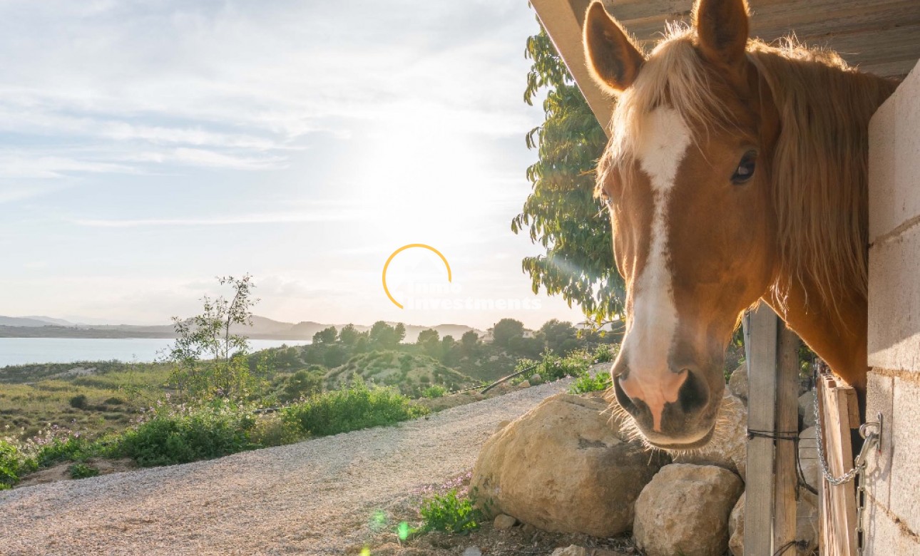 Resale - Villa - Costa Blanca - Orihuela Costa