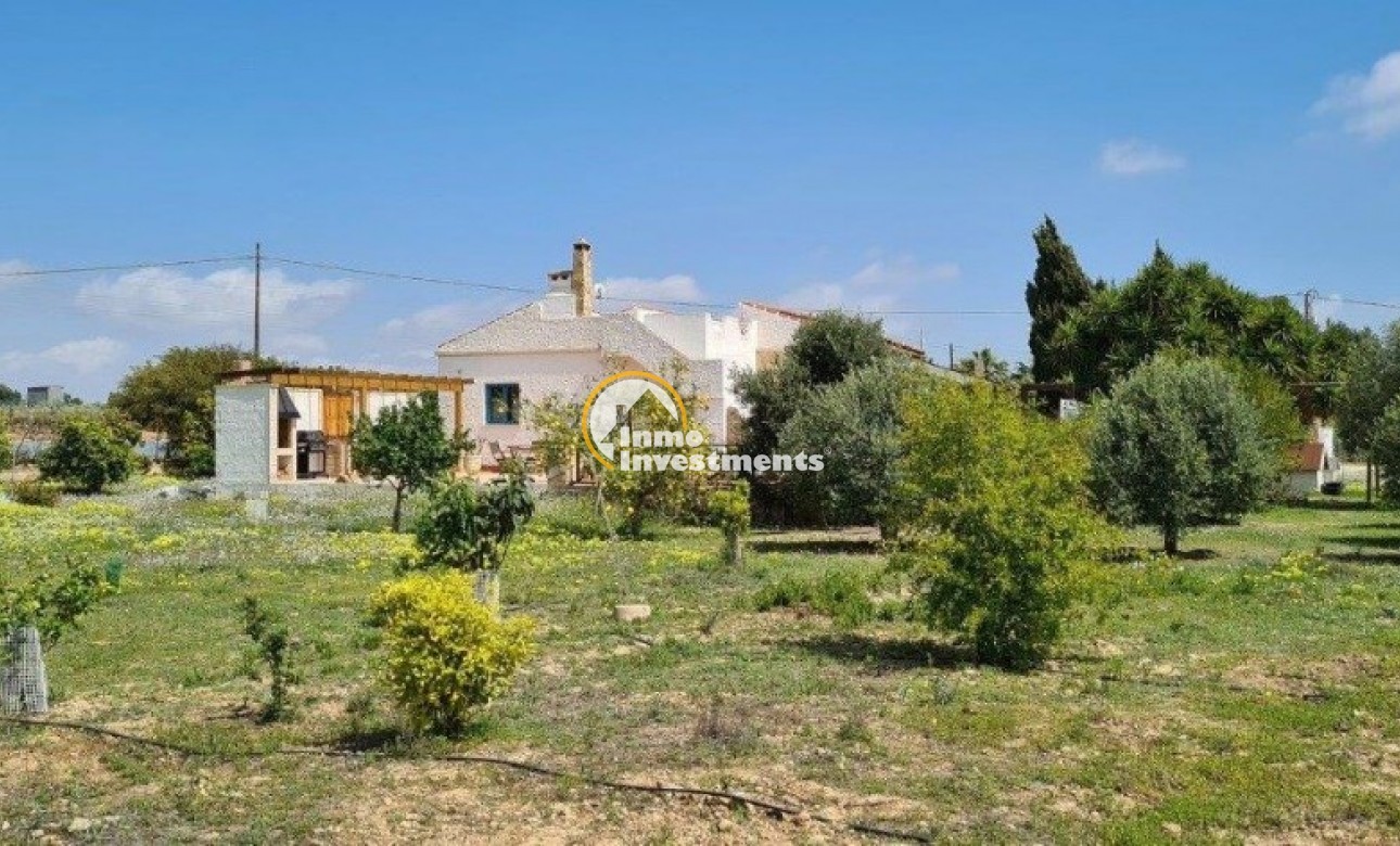 Resale - Finca - Los Montesinos - Los montesinos