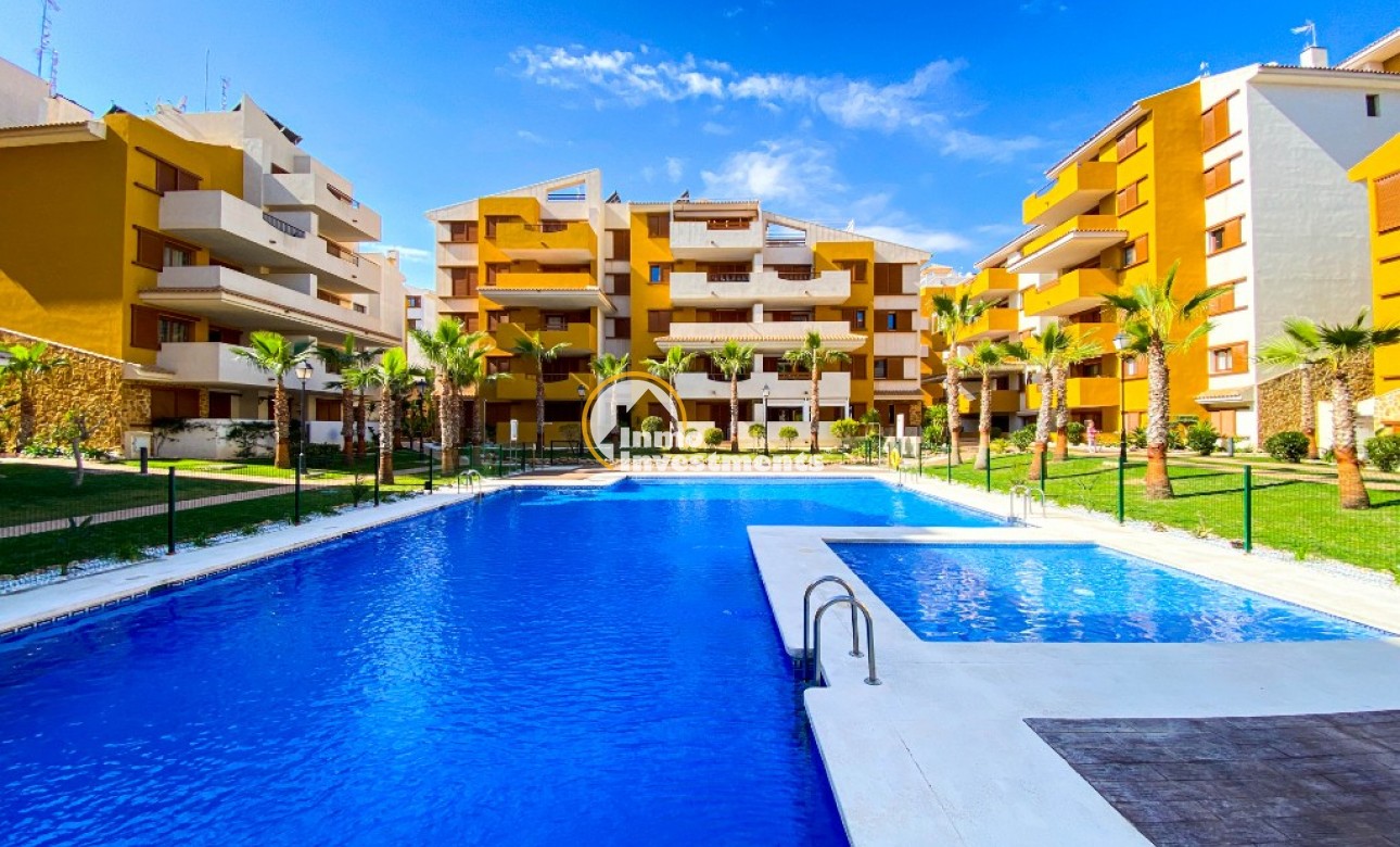 Ferienvermietung - Apartment - Punta Prima - La Recoleta