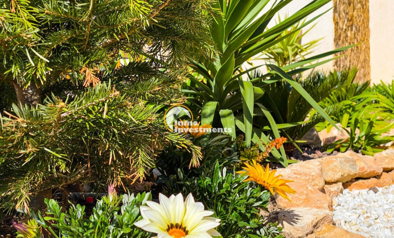 Ferienvermietung - Apartment - Punta Prima - La Recoleta