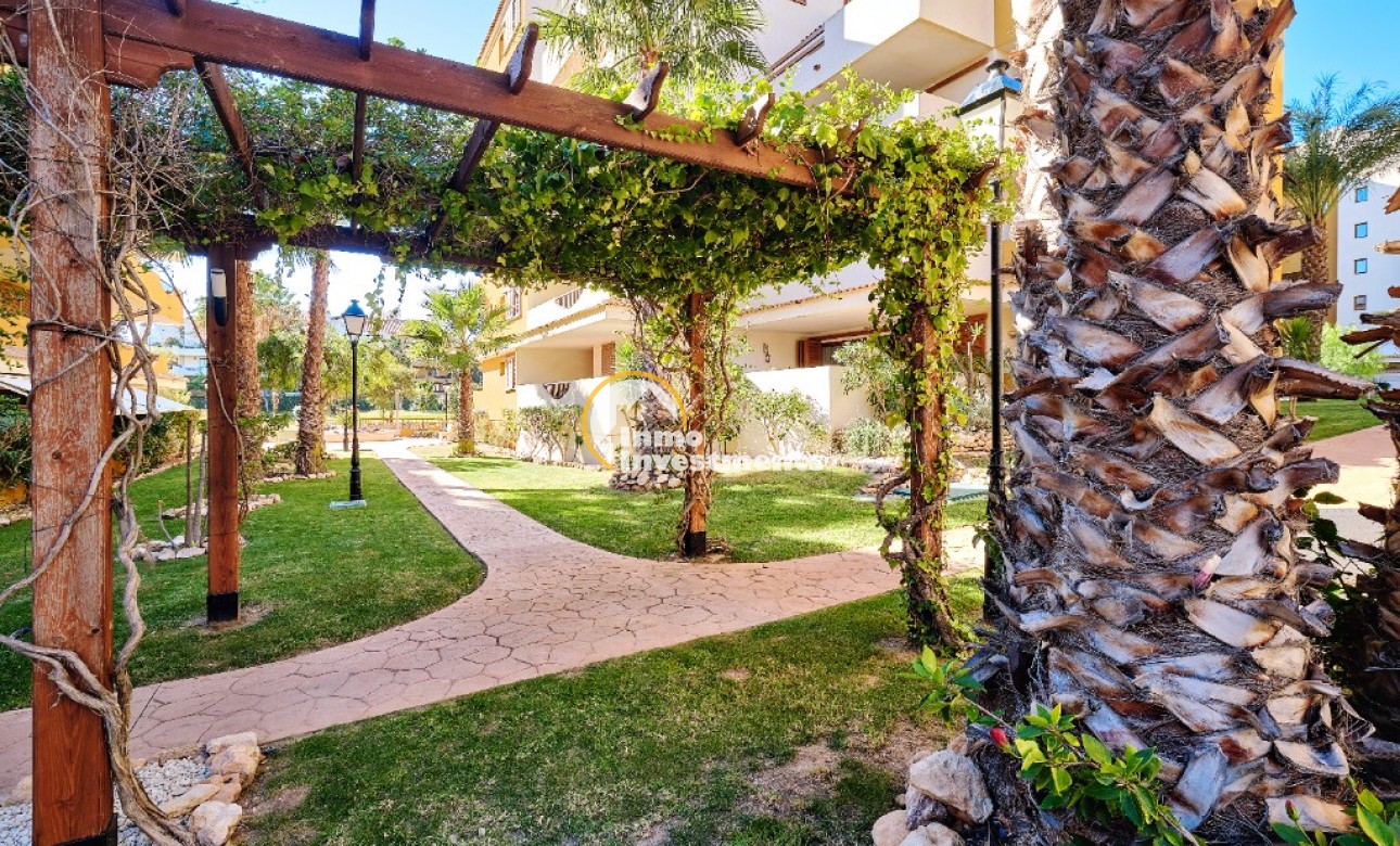 Short Term Rentals - Apartment - Punta Prima - La Entrada